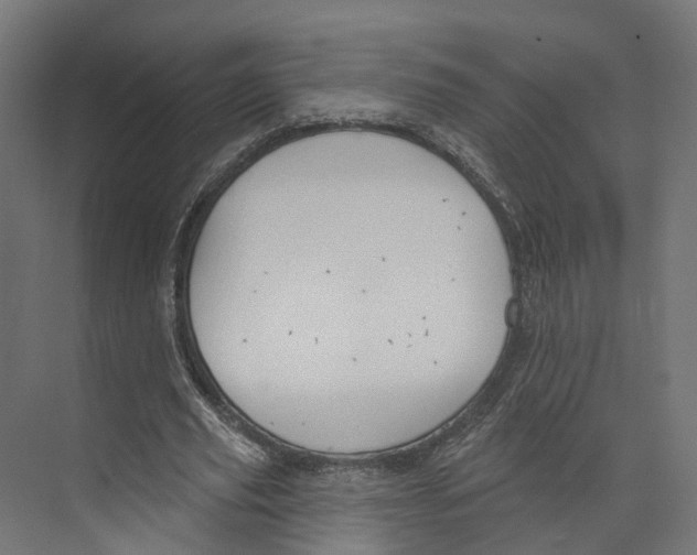 X0000073870629200609071700