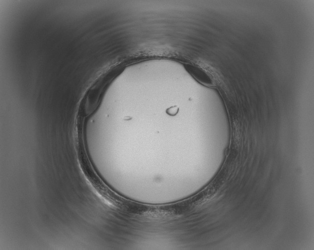 X0000073870630200609071700