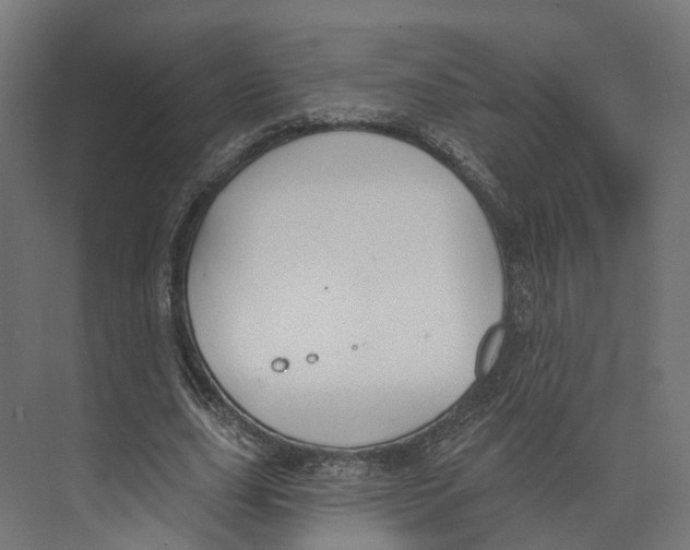 X0000073870631200609071700