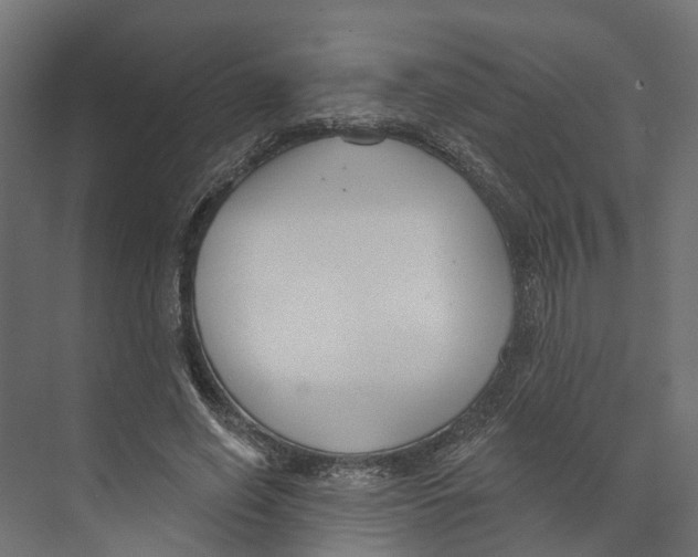 X0000073870638200609071700