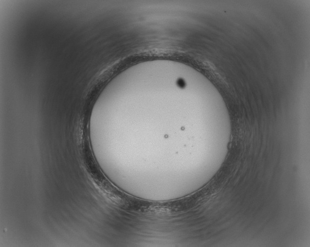 X0000073870640200609071700