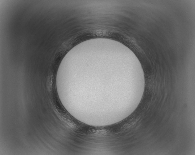 X0000073870645200609071700