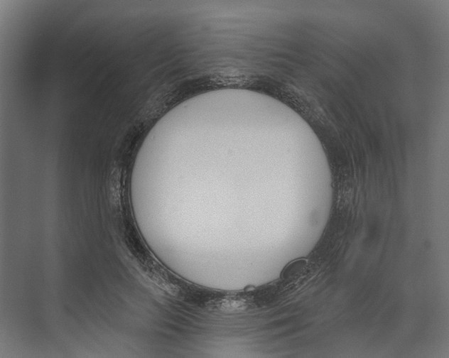 X0000073870647200609071700