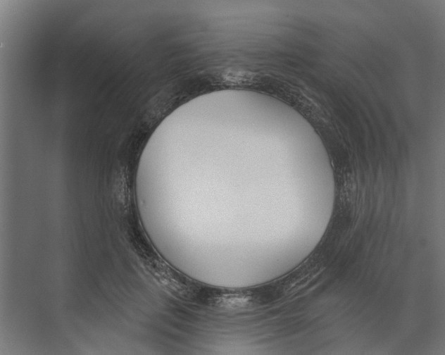 X0000073870651200609071700