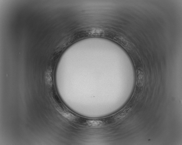 X0000073870654200609071700