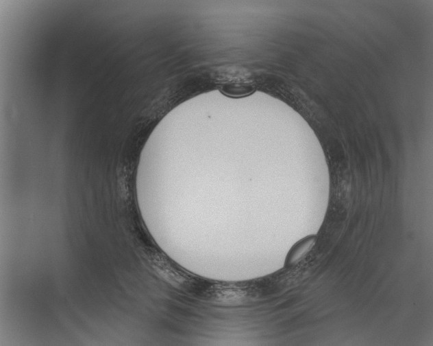 X0000073870658200609071700