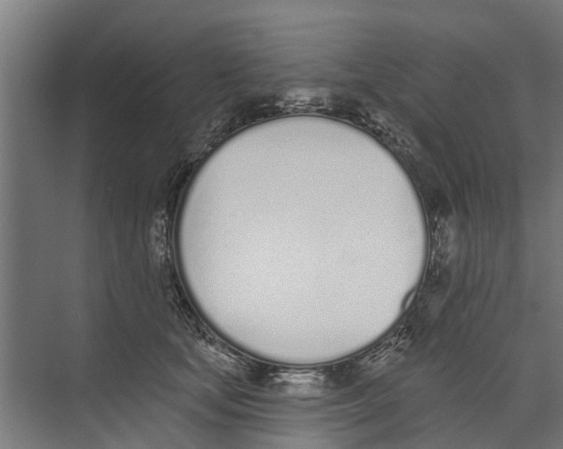 X0000073870659200609071700