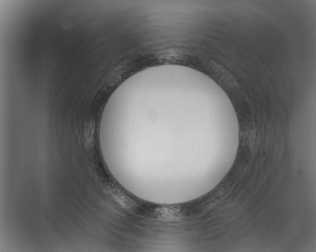 X0000073870660200609071700