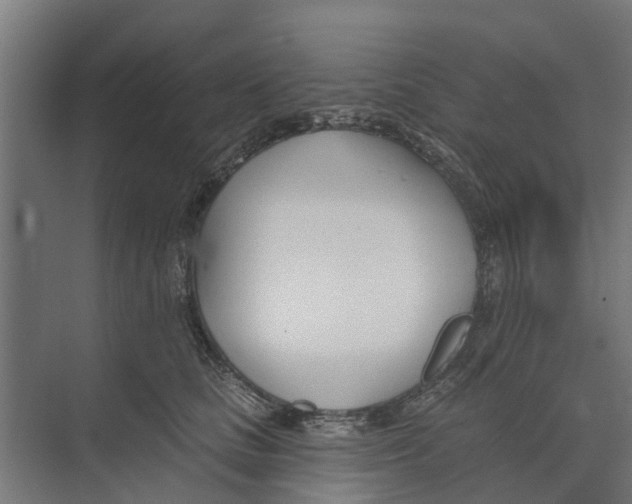 X0000073870661200609071700