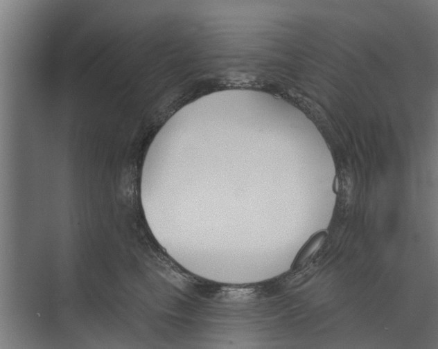 X0000073870665200609071700