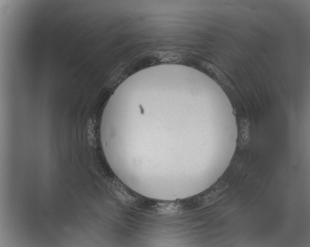 X0000073870667200609071700