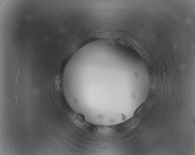 X0000073870669200609071700