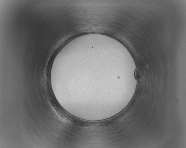 X0000073870674200609071700