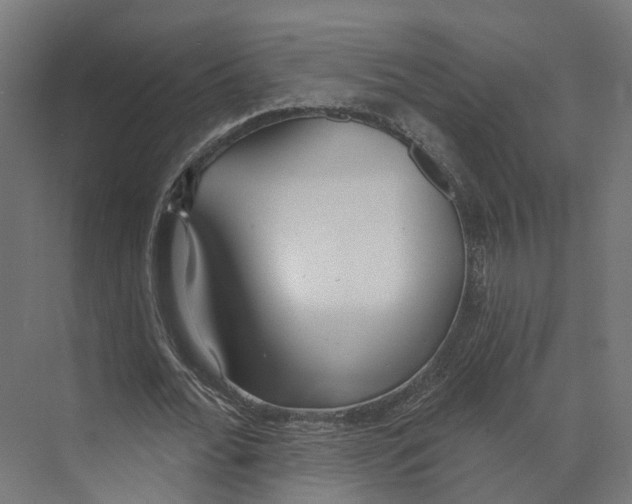 X0000073870676200609071700