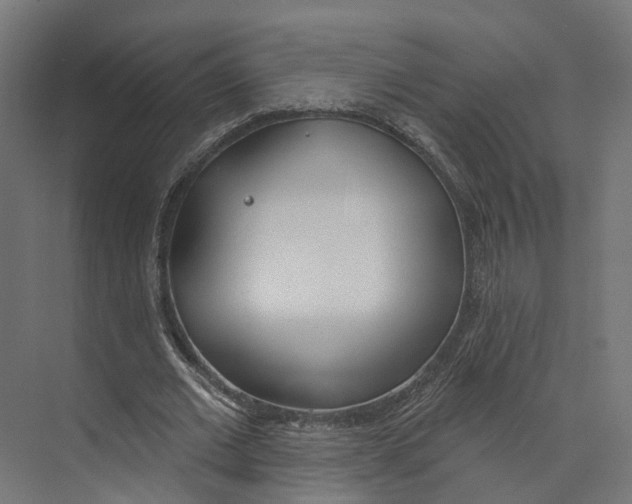 X0000073870677200609071659