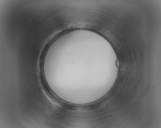 X0000073870678200609071659