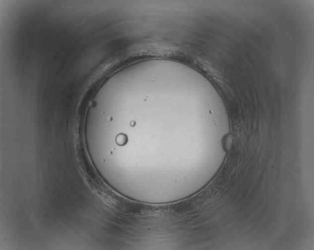 X0000073870679200609071659