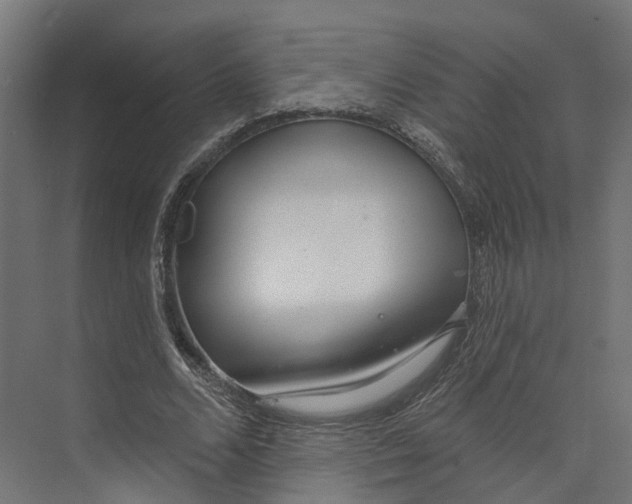 X0000073870680200609071659