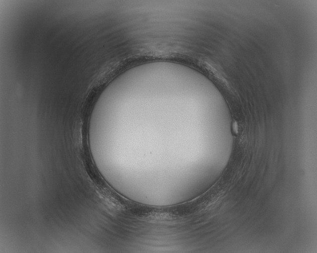 X0000073870685200609071659