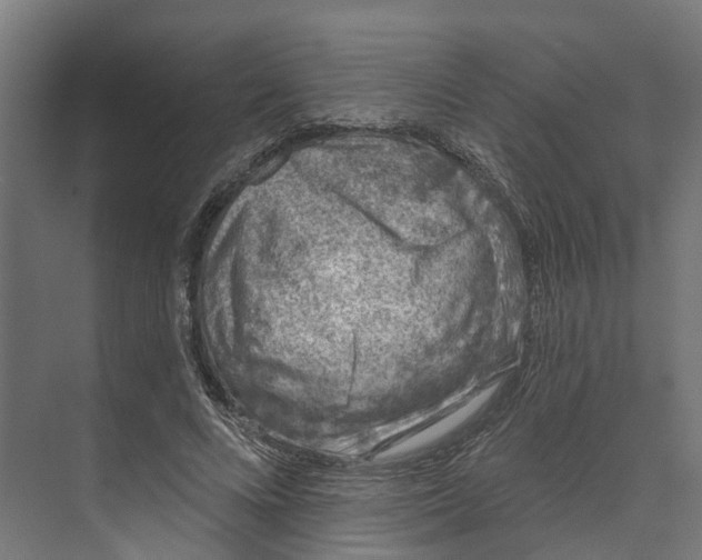 X0000073870688200609071659