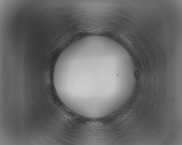 X0000073870689200609071659