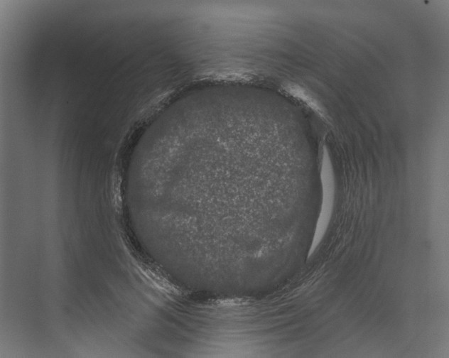 X0000073870692200609071659