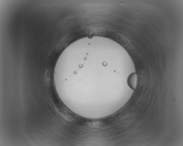 X0000073870695200609071659