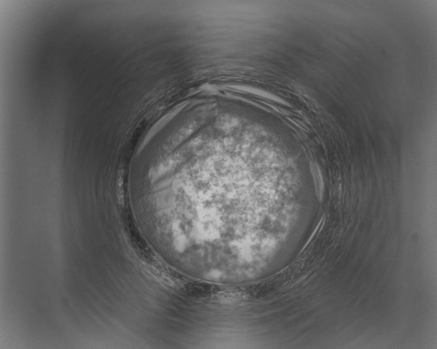 X0000073870696200609071659