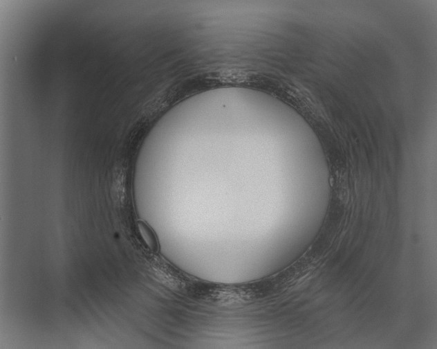 X0000073870697200609071659