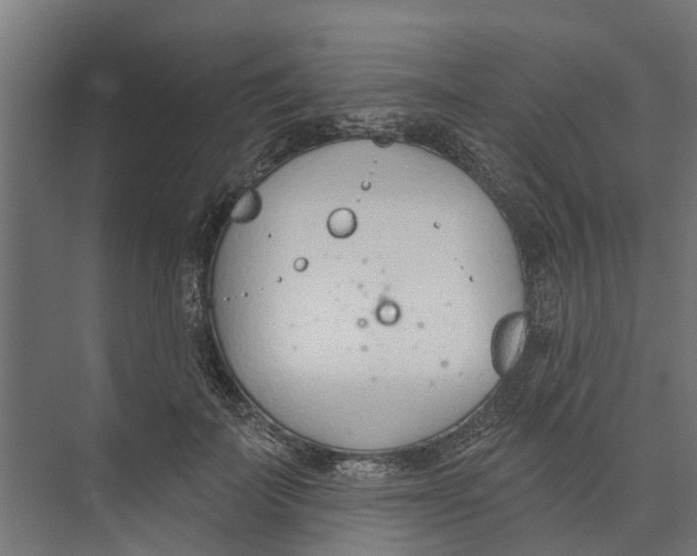 X0000073870699200609071659