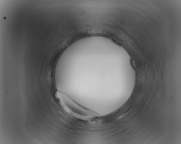 X0000073870700200609071659