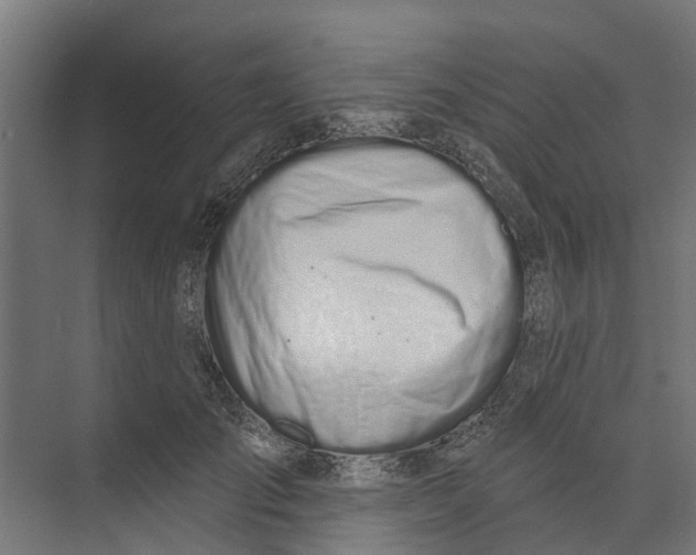 X0000073870701200609071659