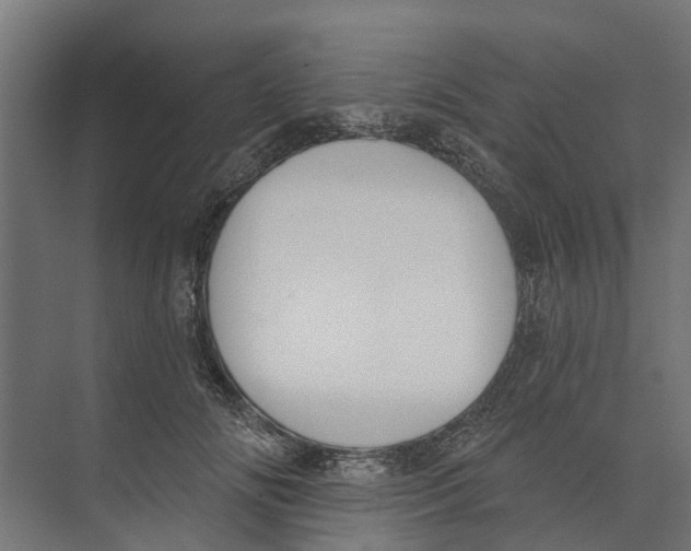 X0000073870702200609071659