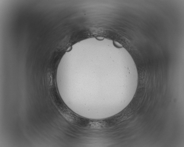 X0000073870703200609071659