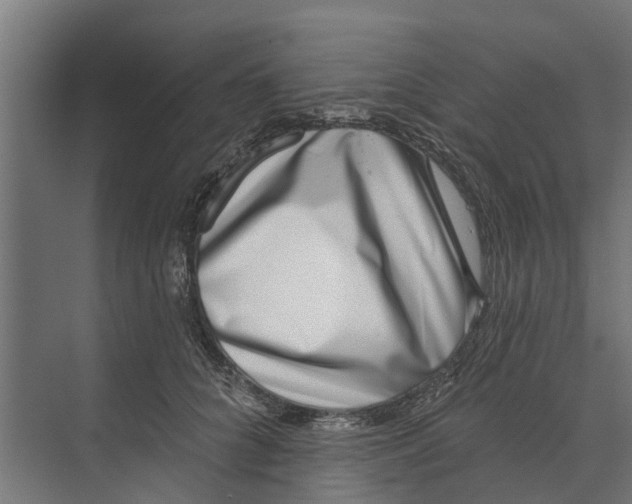 X0000073870704200609071659