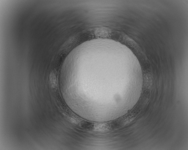 X0000073870705200609071659