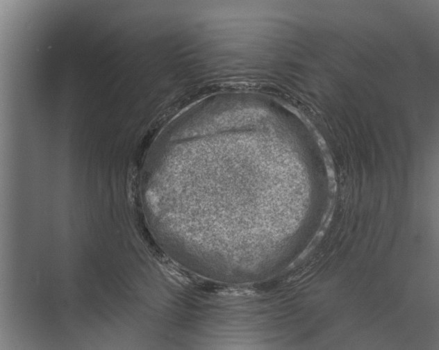 X0000073870712200609071659