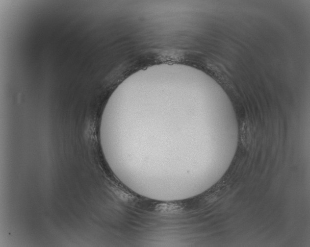 X0000073870714200609071659