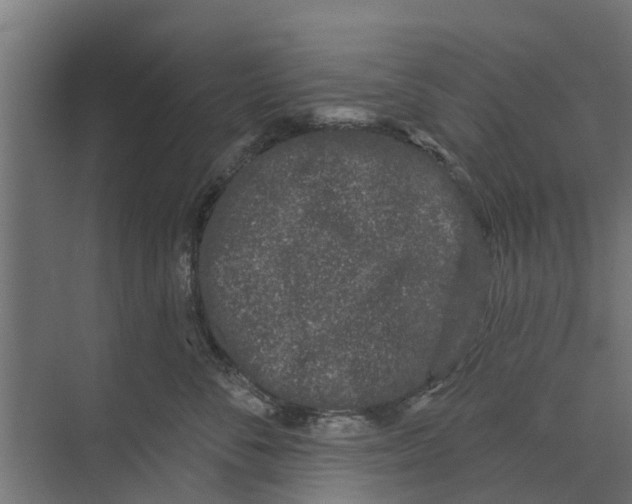 X0000073870716200609071659