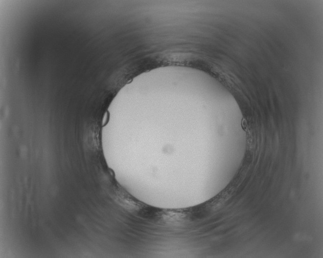 X0000073870718200609071659