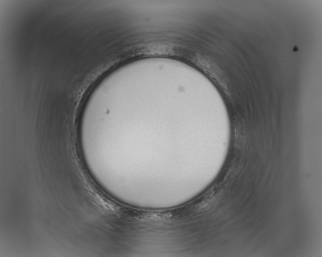 X0000073870721200609071658