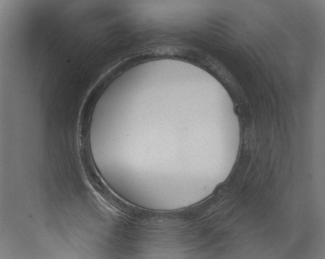 X0000073870722200609071658