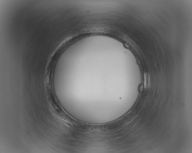 X0000073870723200609071658