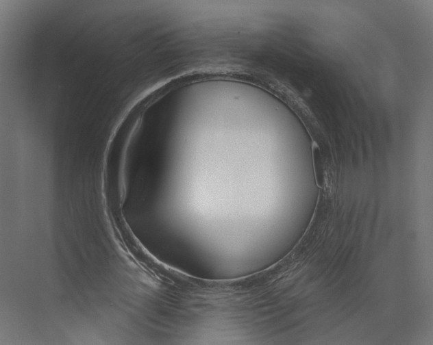 X0000073870724200609071658