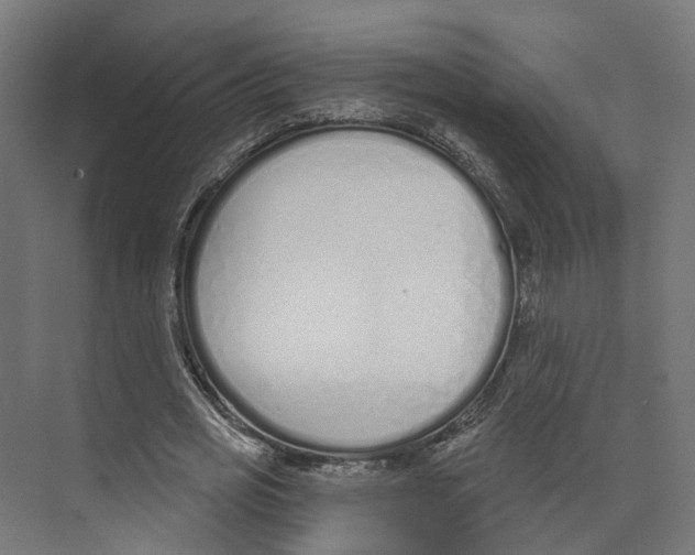 X0000073870725200609071658