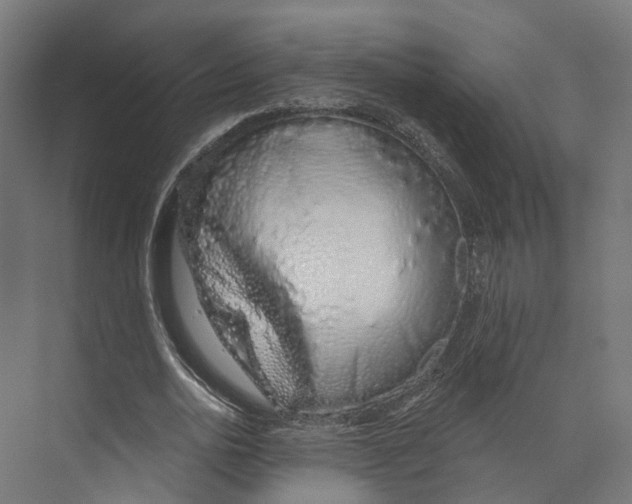 X0000073870726200609071658