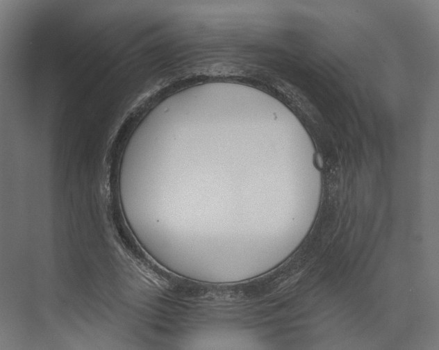 X0000073870727200609071658