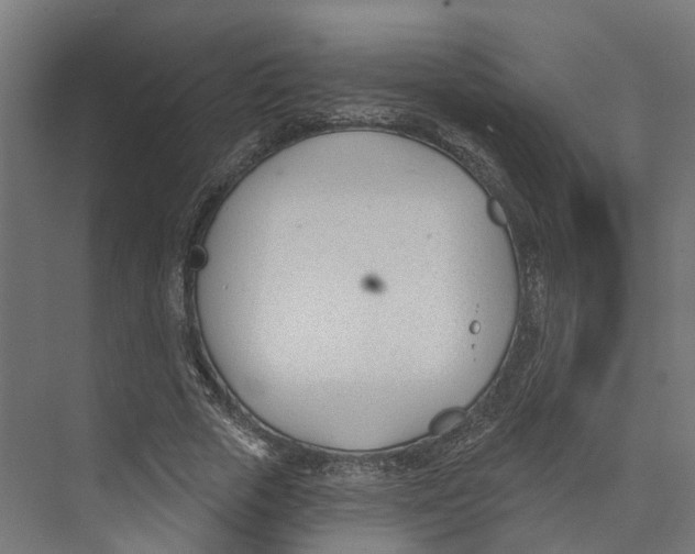 X0000073870729200609071658