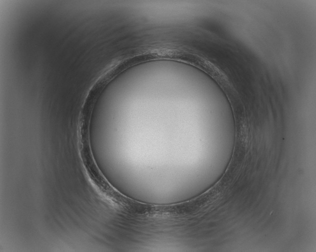 X0000073870730200609071658