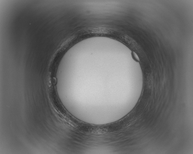 X0000073870731200609071658